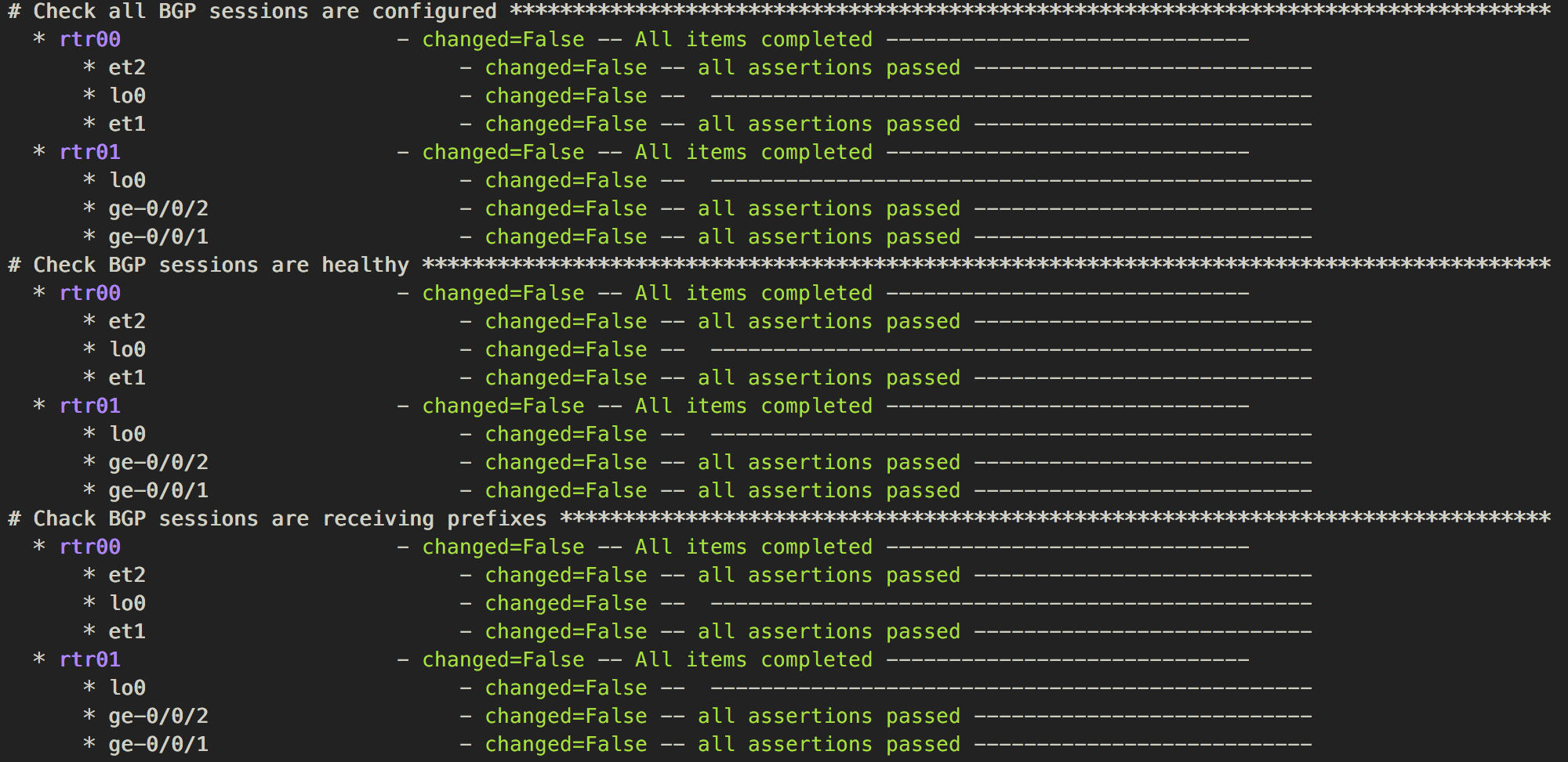 nsot-verify-run_1