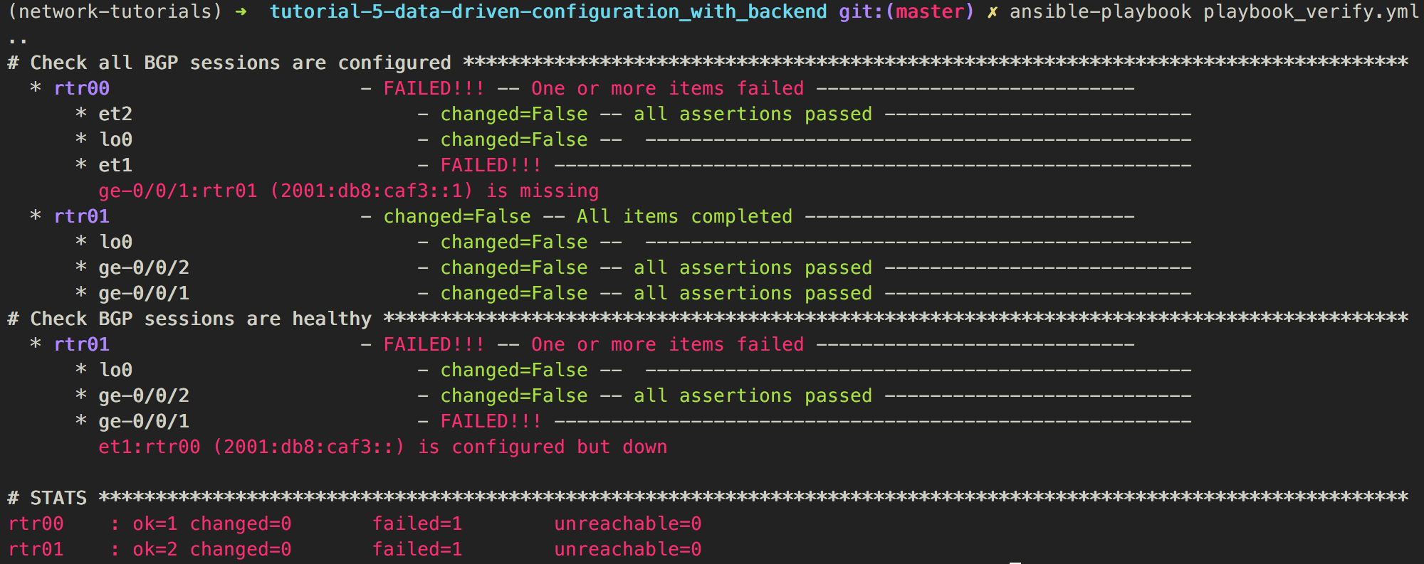 nsot-verify-run_2